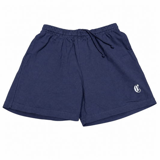 Mens Gym Shorts (Dolphin Blue)